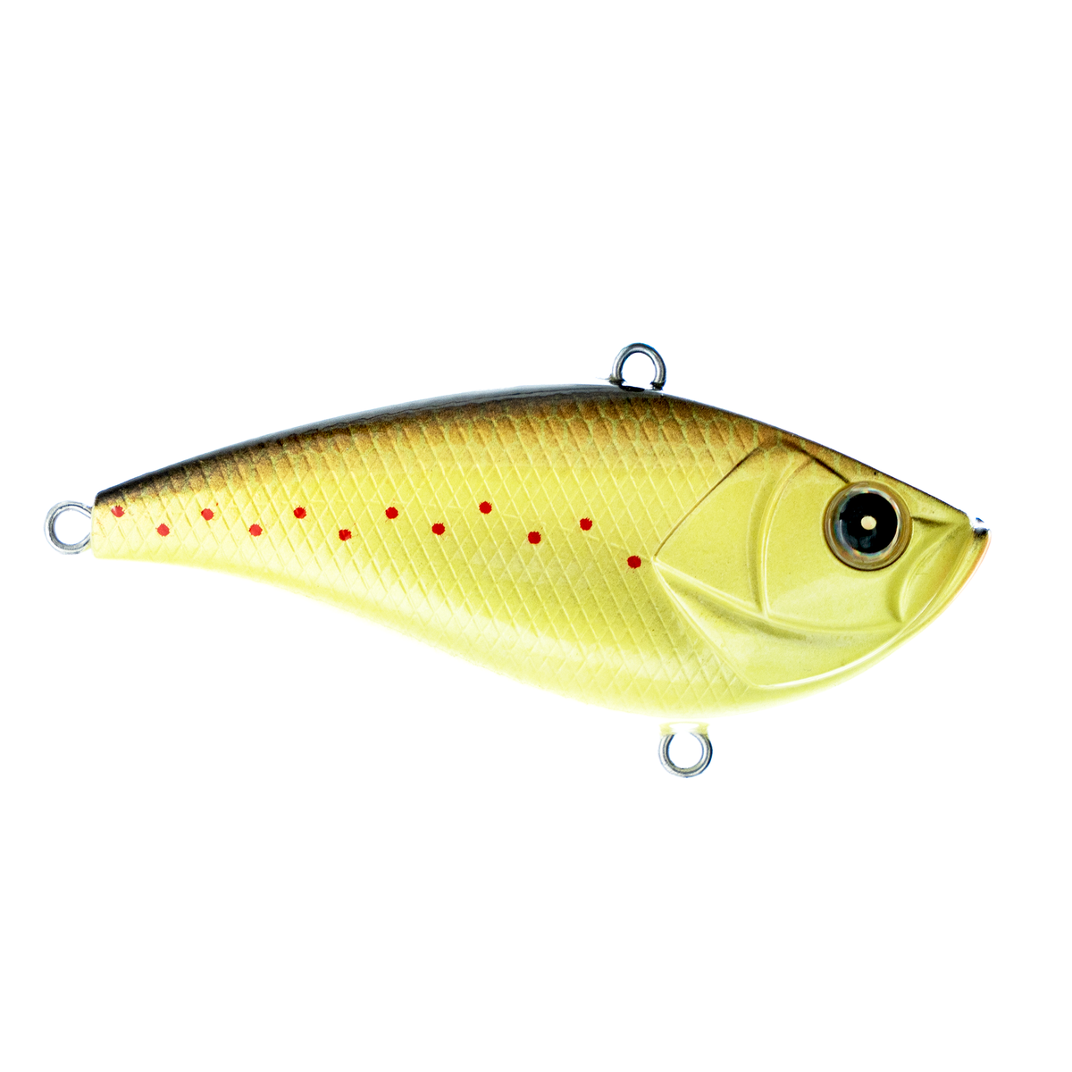 Shaker Z Knock Knock Lipless Crankbait